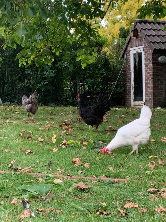Leuk Vakantiehuisje 6P ブルンスム エクステリア 写真