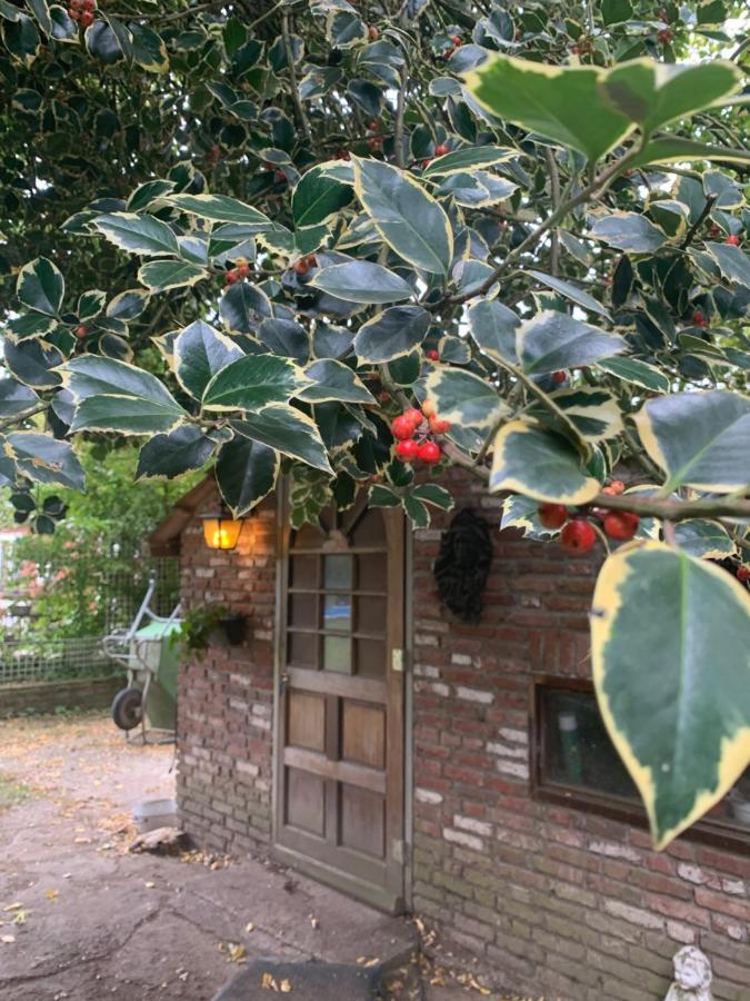 Leuk Vakantiehuisje 6P ブルンスム エクステリア 写真